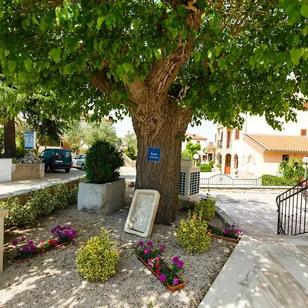 Aria 1 * Malinska